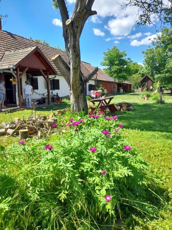 Harmat Porta Villa Galambok Exteriör bild